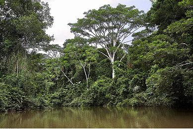 XboxOne手柄获固件升级 解锁新手柄两项功能